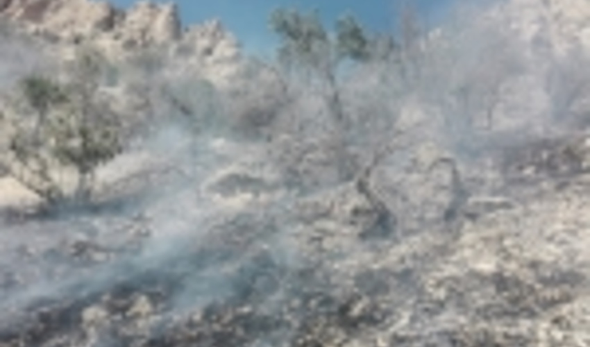 فارس/ مهار کامل حریق در ارتفاعات منطقه "کل کنگری" شهرستان رستم