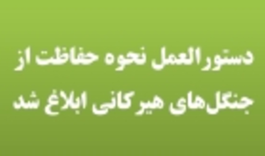 دستورالعمل نحوه حفاظت از جنگل‌های هیرکانی ابلاغ شد