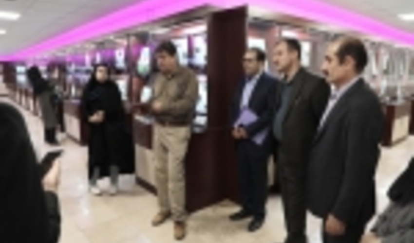 بازدید کارشناسان ستادی سازمان جنگل ها از مؤسسه تحقیقات جنگل ها و مراتع (گزارش تصویری)