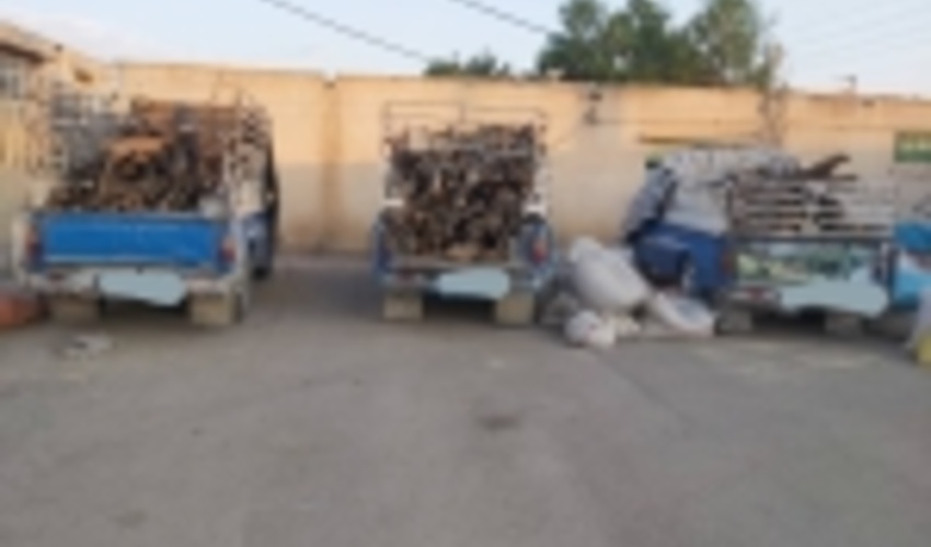 کشف 2 تن چوب و زغال قاچاق در کهگیلویه