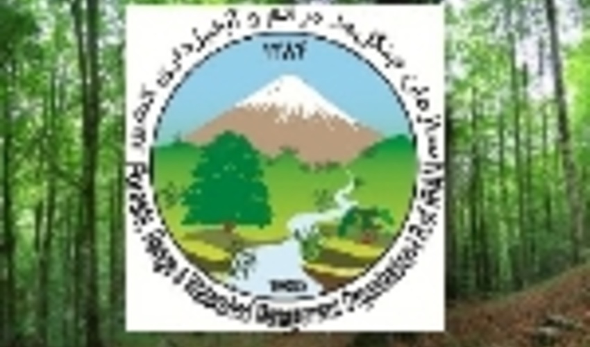 سازمان جنگل‌ها در توسعه دولت الکترونیک رتبه نخست را کسب کرد