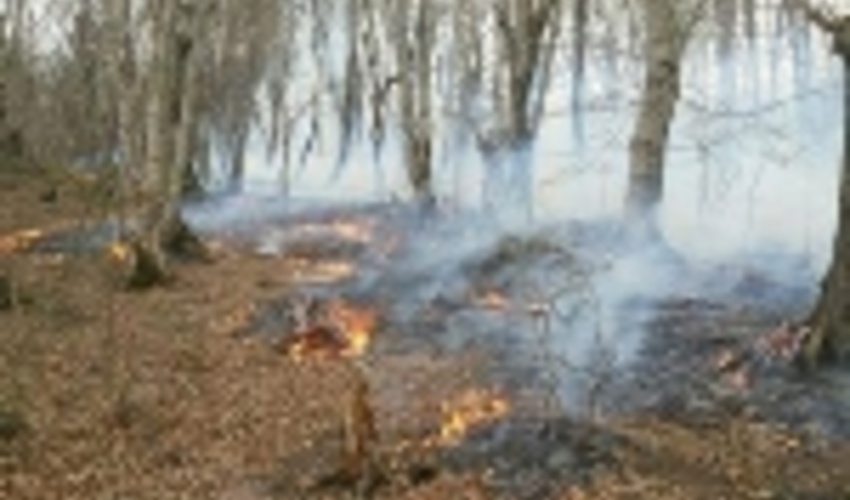 اطلاعیه پیشگیری از حریق در جنگل‌های مازندران 