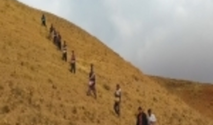 حفظ و احیای مراتع و جنگل های استان زنجان با اعتبارات صندوق توسعه ملی قوت گرفته است