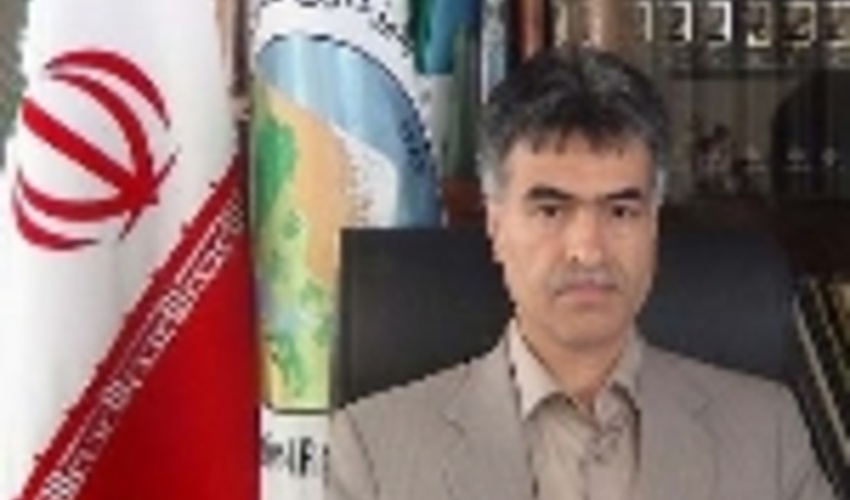 هزار هکتار از اراضی گلستان زیر کشت زراعت چوب قرار می‌گیرد