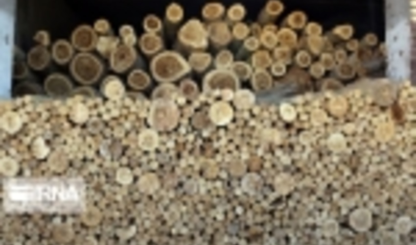 تشویق جوامع محلی به زراعت چوب با اعطای تسهیلات حمایتی