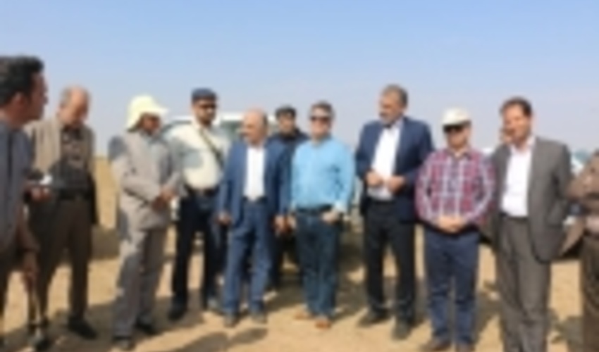 کاشت 150 هزار آتریپلکس در منطقه کوه نمک قم