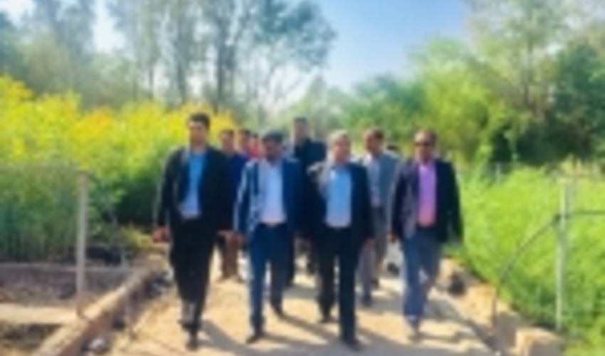 افتتاح سایت دوم نهالستان تولید نهال روستای بوئینگ شهرستان رودبار جنوب