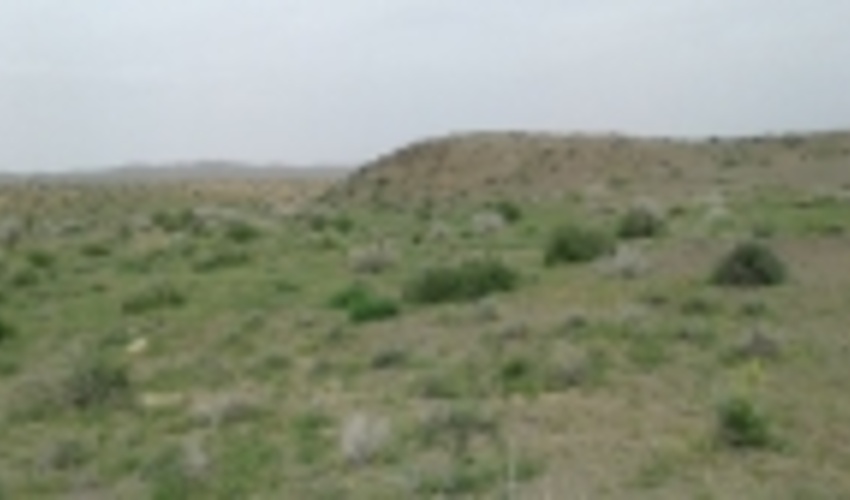 فارس / تقویت طرح‌های منابع‌طبیعی با توانمندسازی مرتعداران