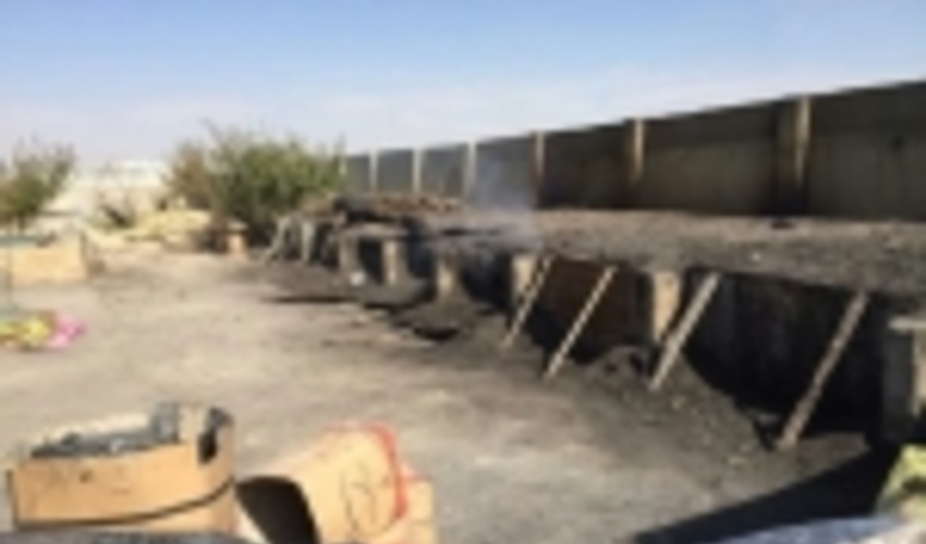 قاچاقچیان چوب در البرز به دام افتادند