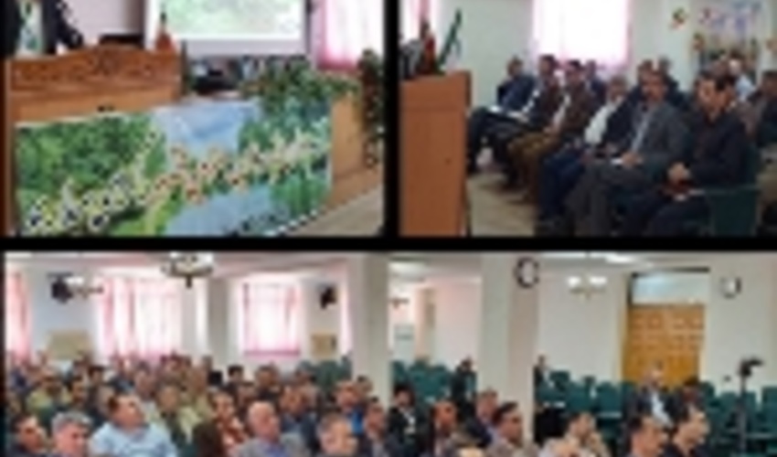 جوانه زنی دوباره شمشادهای سنگده ساری