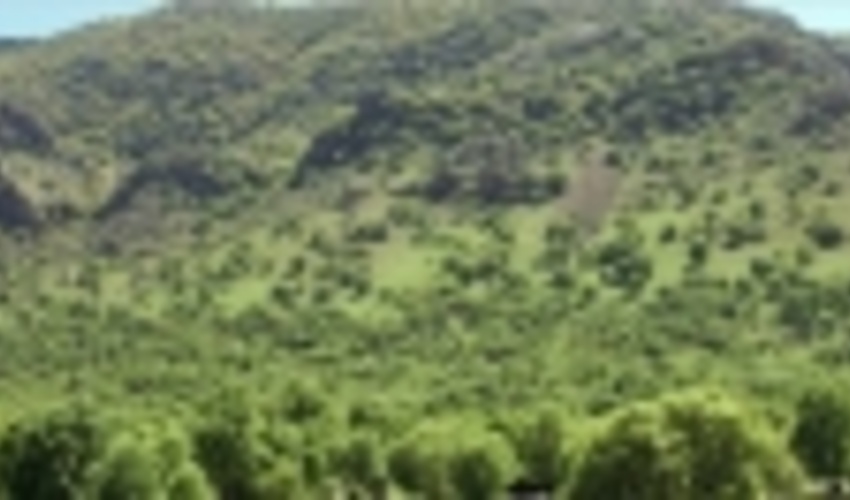 The Sixteenth Session of Zagros Forest Management Working Group Held in FRWO