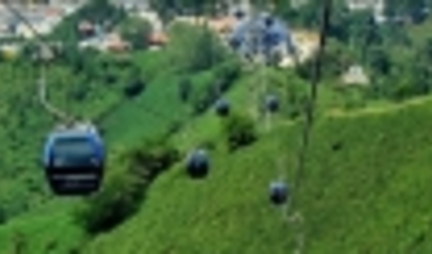 سازمان جنگل‌ها از طرحی که به ثبت جهانی جنگل‌های هیرکانی آسیب وارد کند، حمایت نخواهد کرد