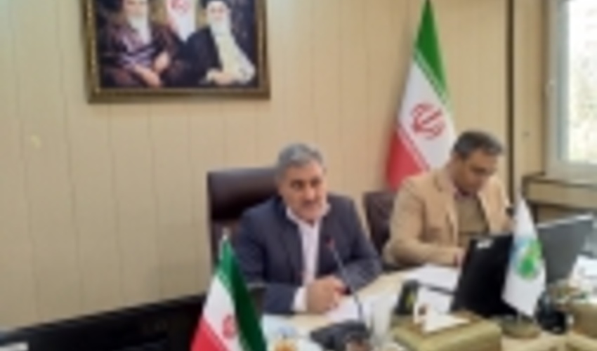  توسعه زراعت چوب در دستور کار سازمان جنگل‌ها 