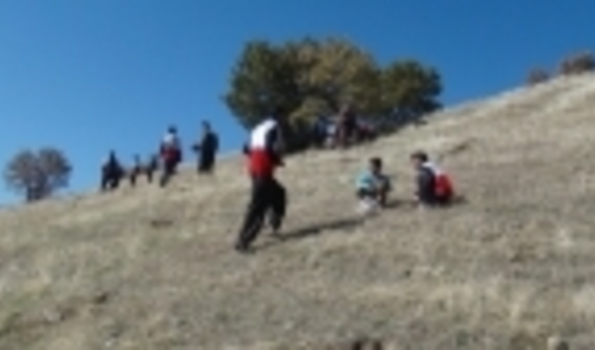 ۲۹۴ هکتار از جنگل‌های سروآباد توسعه و احیاء می‌شوند