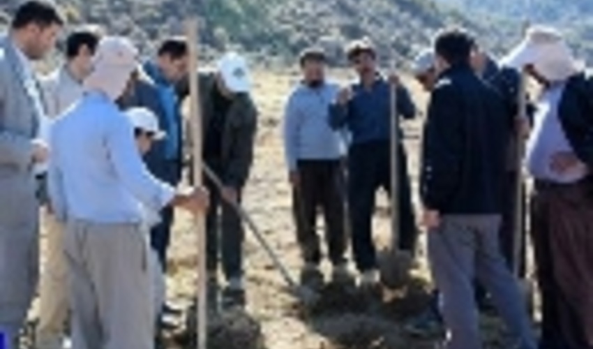 آغاز پروژه کپه کاری مراتع و کشت گیاهان دارویی و خوراکی در دالاهو