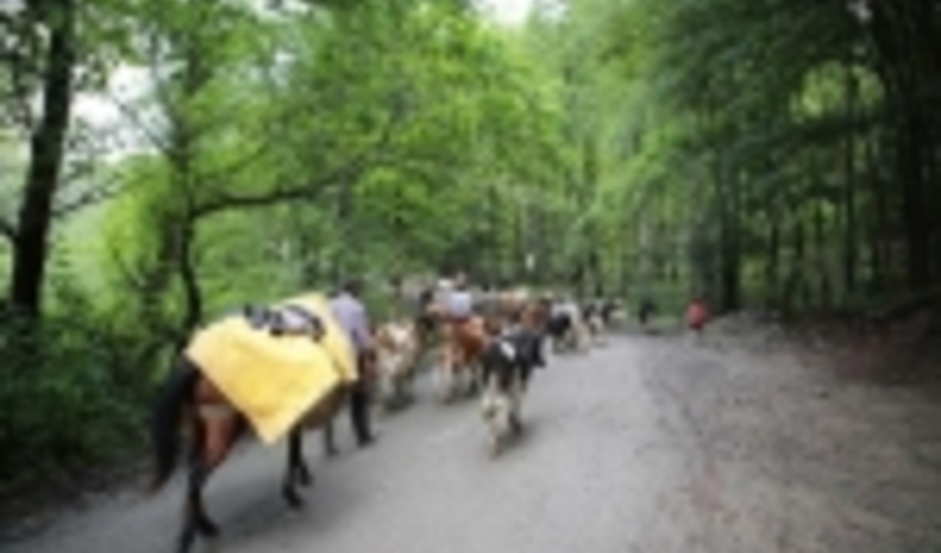 دوئل بی‌پایان فقر و منابع‌طبیعی