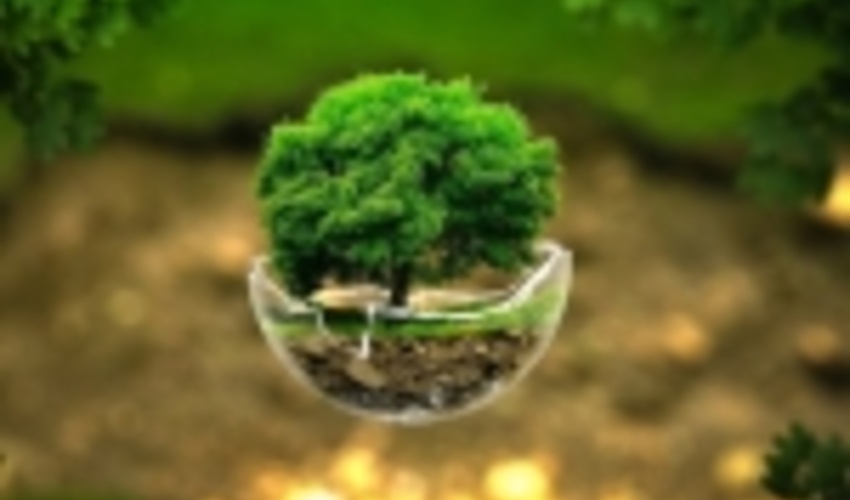 مدیریت تغییر اقلیم با برنامه‌ریزی و هزینه مالی امکان‌پذیر است