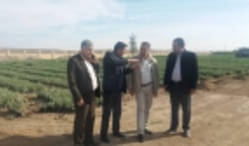 بازدید از روند اجرای پروژه های بخش مرتع و بیابان شهرستان گنبد