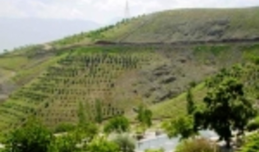 خلع ید حدود ۶ هکتار از اراضی ملی پارک جنگلی آبیدر 