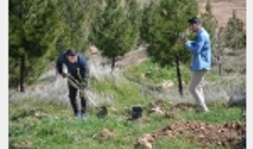 مازندرانی‌ها با طرح نهضت سبز در سال ۹۸ یک میلیون و ۷۰۰ هزار نهال می‌کارند