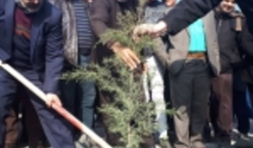 اجرای طرح نهالکاری همگانی در خراسان رضوی