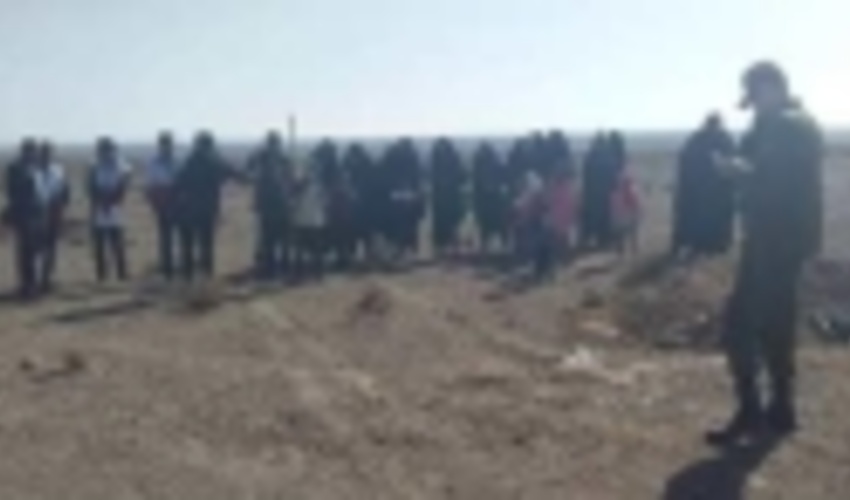 جنگل‌کاری در بیش از 3400 هکتار از اراضی کرمانشاه