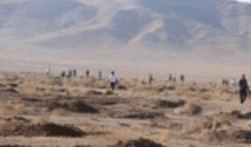 125هزار اصله نهال جنگلی در اراضی استان اصفهان کاشته شد 