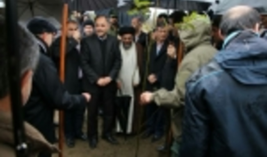 کاشت ۲ میلیون اصله نهال در گیلان