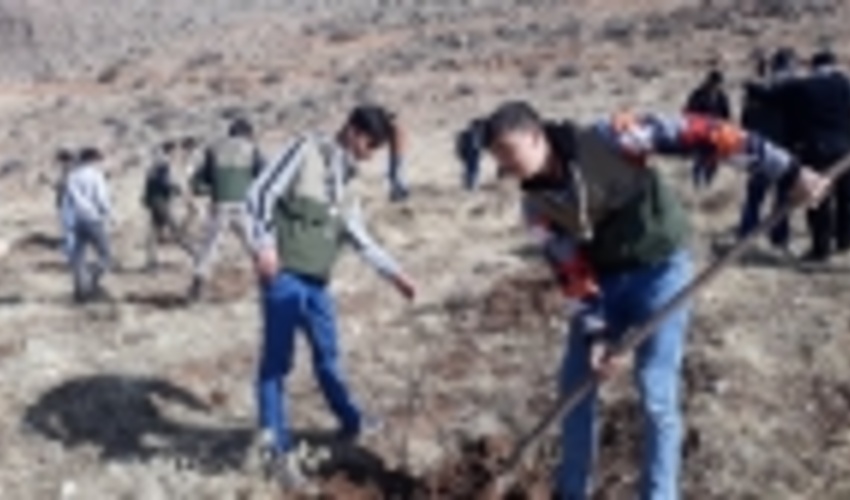 طرح «بسیج همگانی نهالکاری» در کشور کلید خورد/ غرس 70 هزار اصله نهال در استان چهارمحال