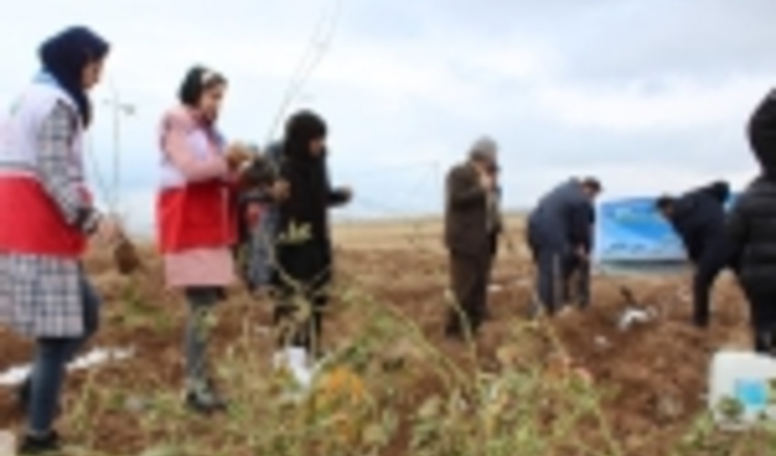  غرس بیش از هفت هزار اصله نهال در پارس‌آباد