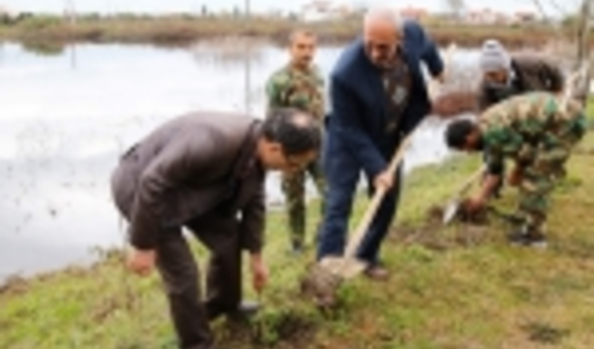 سرانه فضای سبز کشور اندک است 