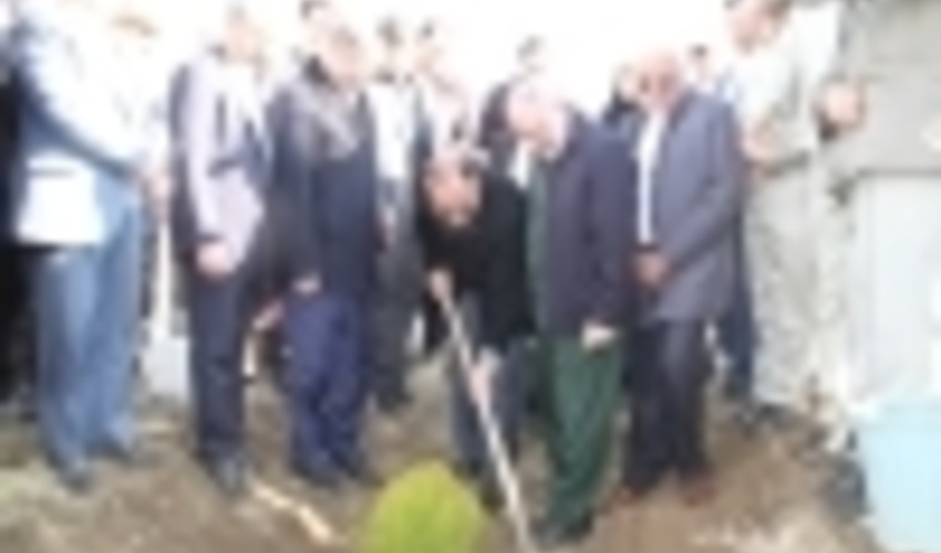 یک هزار و600 هکتاراز اراضی منابع طبیعی استان همدان نهالکاری شد