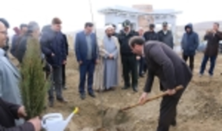 ۳۱۲ هزار و ۵۰۰ نهال در خراسان شمالی کاشته‌ شد