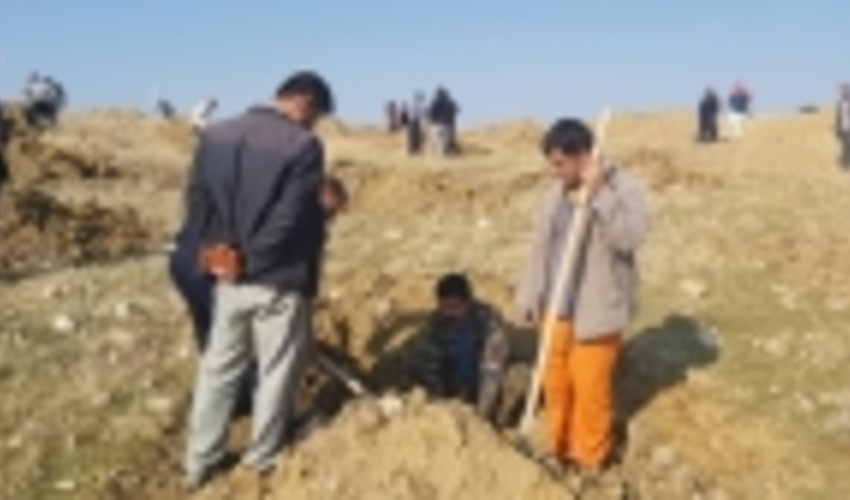 کاشت ۱۴۰ هزار اصله نهال در کهگیلویه و بویراحمد