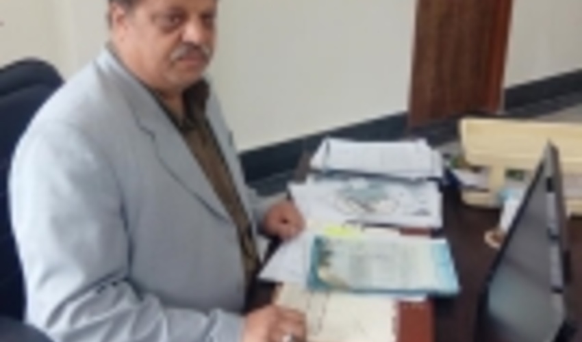 کشف ۵ تُن چوب تاغ در شهرستان شاهرود