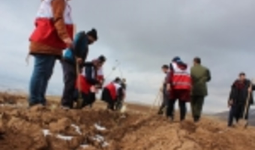 غرس 50 هزار اصله نهال در شهرستان خلخال