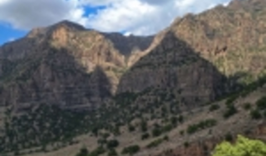  جنوب کرمان در واگذاری طرح‌های منابع طبیعی رتبه نخست را کسب کرد