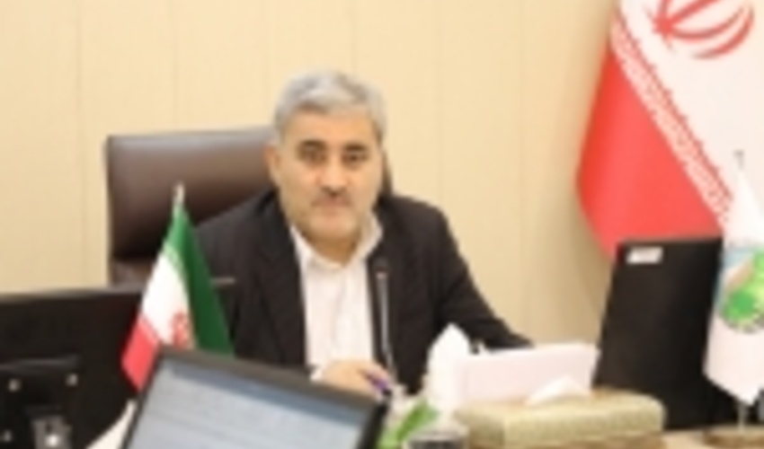 نهالکاری‌ها تا اسفندماه ادامه می یابد