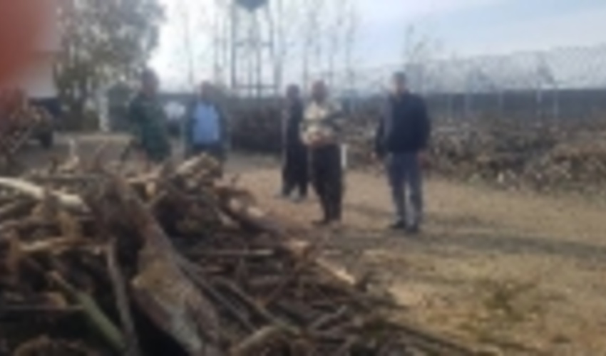 کشف و ضبط چوب آلات قاچاق در گلستان 