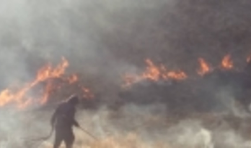 اطفاء حریق در اراضی ملی روستای لهران از توابع شهرستان طالقان