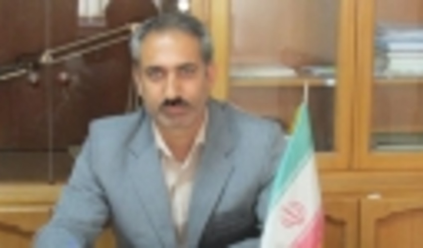 700 هکتار از جنگل های استان همدان غنی سازی شد