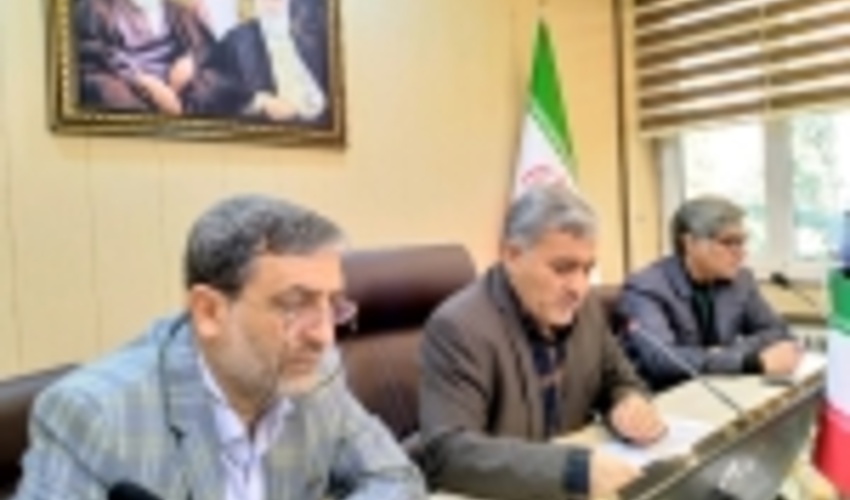 مدیران منابع طبیعی میزان مشارکت در پویش نهال کاری را اعلام کردند