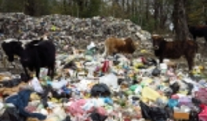 سال ۹۹ جنگل‌ها از معضل دفع زباله‌ نجات پیدا می‌کنند