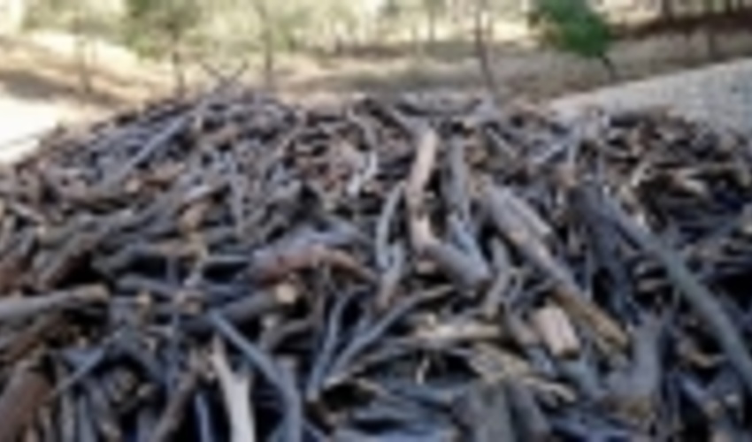 چهارمحال و بختیاری / کشف نزدیک به 70 تُن چوب و ذغال قاچاق از ابتدای سال