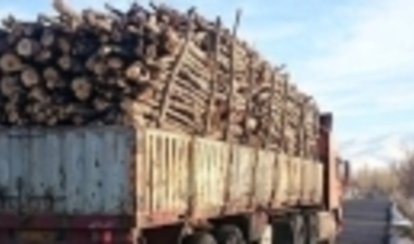 خودروهای حامل مقطوعات چوبی از محورهای سروآباد کنترل و پایش می‌شوند