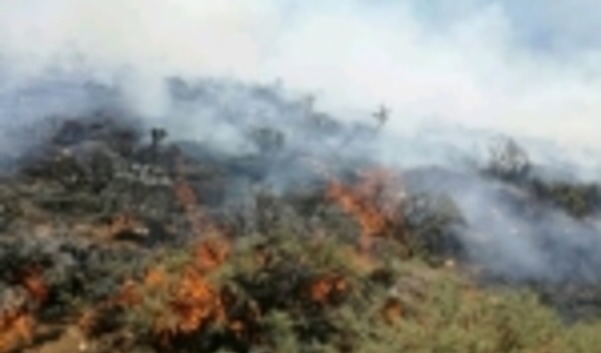 مصدومیت دو جنگلبان گلستانی در اطفای حریق منطقه قزلق آبپران شهرستان گالیکش