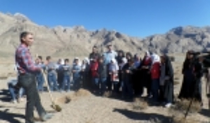 طرح ملی «جنگلانه» در سطح 50 هکتار از عرصه‌های طبیعی شهرستان تفت