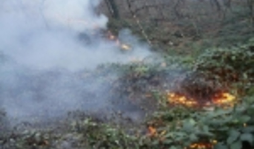 آتش سوزی در جنگل‌های گیلان مهار شد