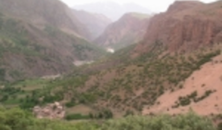 3 پروژه جنگلکاری در اصفهان در سطح 150 هکتار اجرا شد