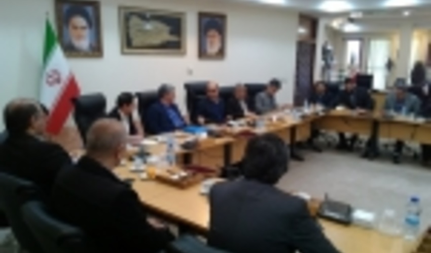 با توسعه زراعت چوب، توانایی تأمین نیاز چوب کشور را داریم